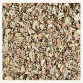 Nunc congue dui nec...