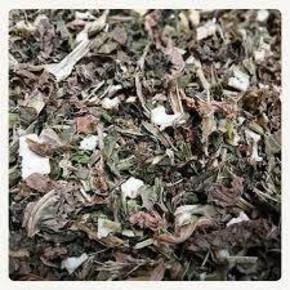 Nunc congue dui nec...