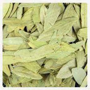 Nunc congue dui nec...