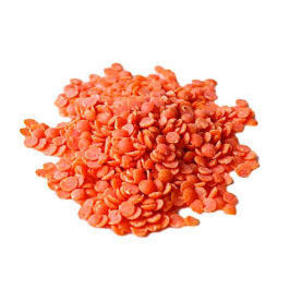 Nunc congue dui nec...