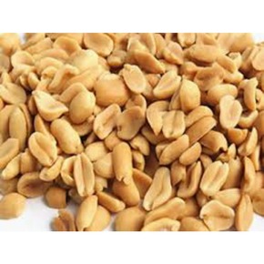 Nunc congue dui nec...