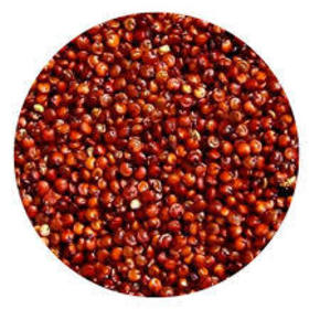 Nunc congue dui nec...