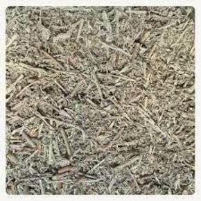 Nunc congue dui nec...