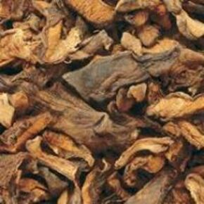 Nunc congue dui nec...