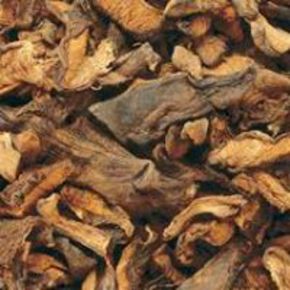 Nunc congue dui nec...