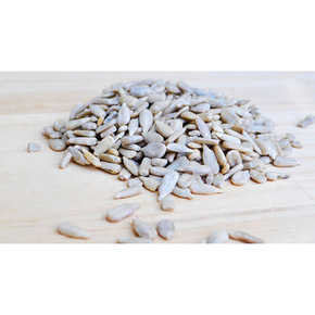 Nunc congue dui nec...